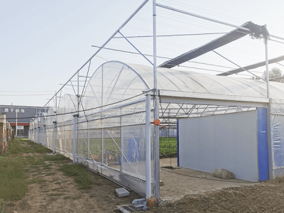 Строительство завода по промышленному выращиванию рассады овощей ?Пекин Юйнун Ханши?