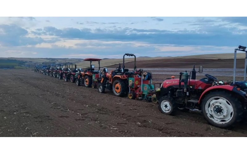 润农礼赞：劳动铸就鲜丽