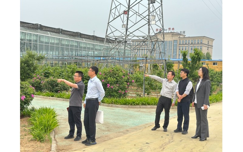 河北证监局监管处辅导光临腾博诚信为本发展例行走访调研，，，，，，领导公司高质量发展