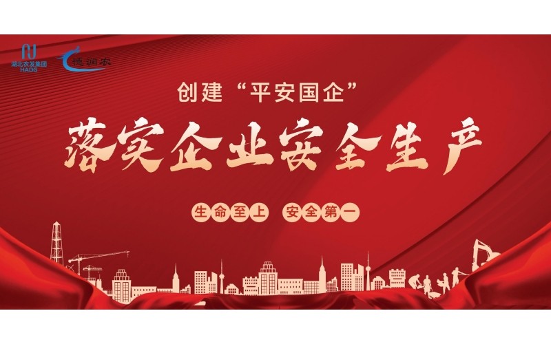 创建“安然国企”